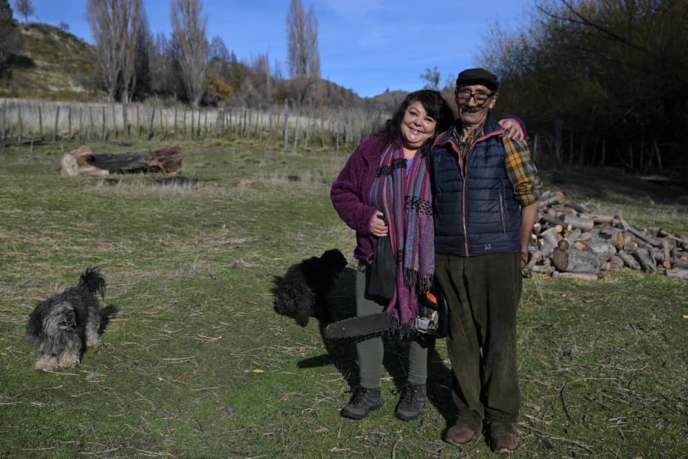 Argentina’s deadly hantavirus memories resurface after cruise ship outbreak