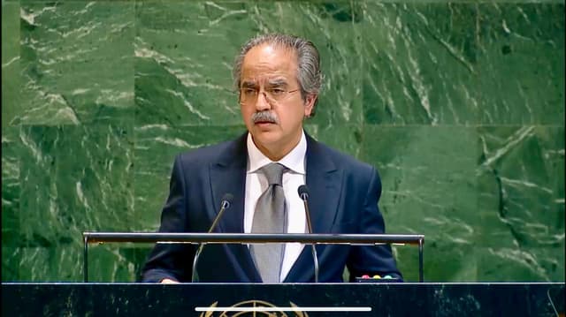 Pakistan urges immediate ceasefire, end to Gaza blockade at UN