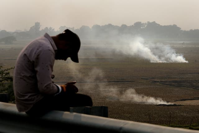 A person checks his mobile phone as farmers burn crop residue after harvest near Bundelkhand expressway in India, on November 17, 2024. (AP)