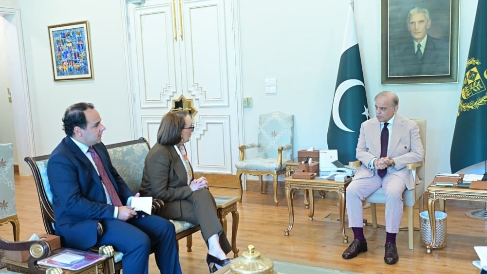 PM reaffirms Pakistan's commitment to multilateralism in meeting with UN chief candidates