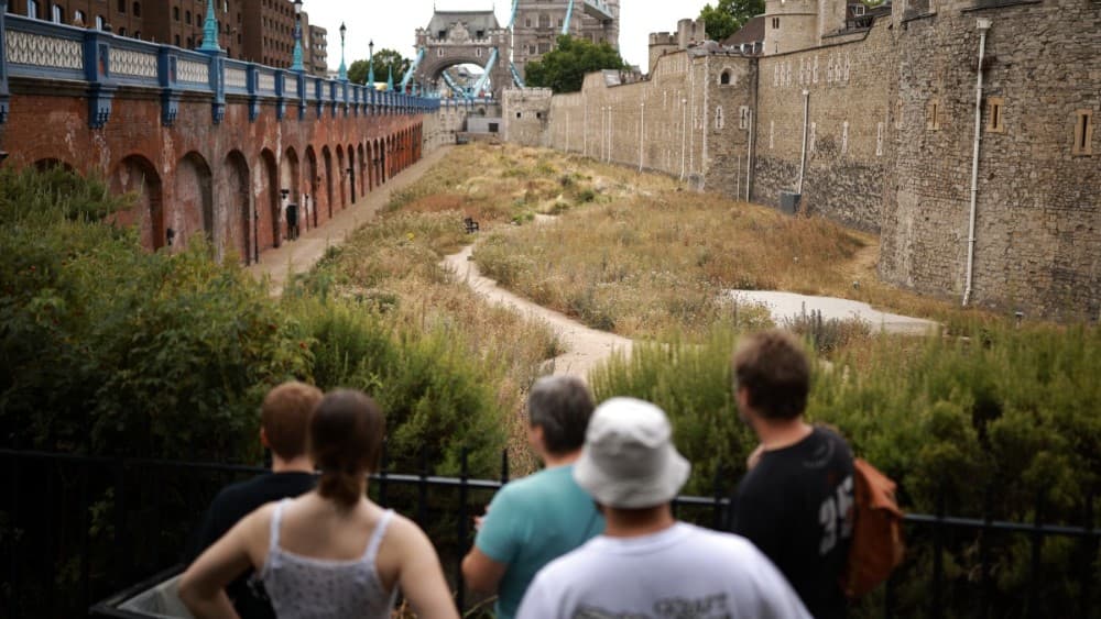 People look at the dry garden outside the Tower of London, turned yellow-brown due to a lack of rain, in London, on August 6, 2026. (AFP)