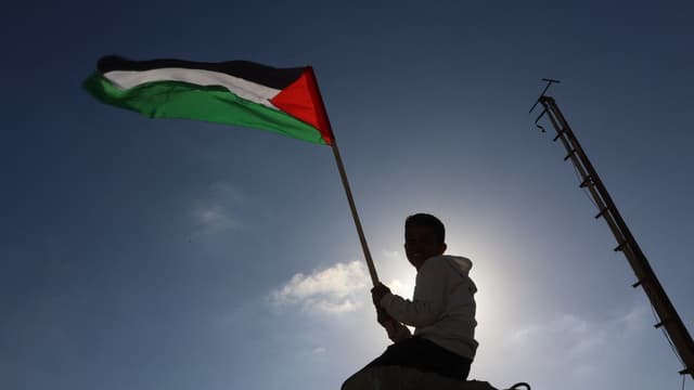 Two Gaza aid flotilla activists brought to Israel for questioning: Foreign ministry