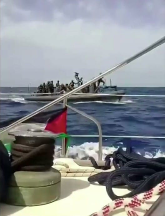 Pakistan, 9 nations condemn Israeli interception of Gaza-bound global flotilla