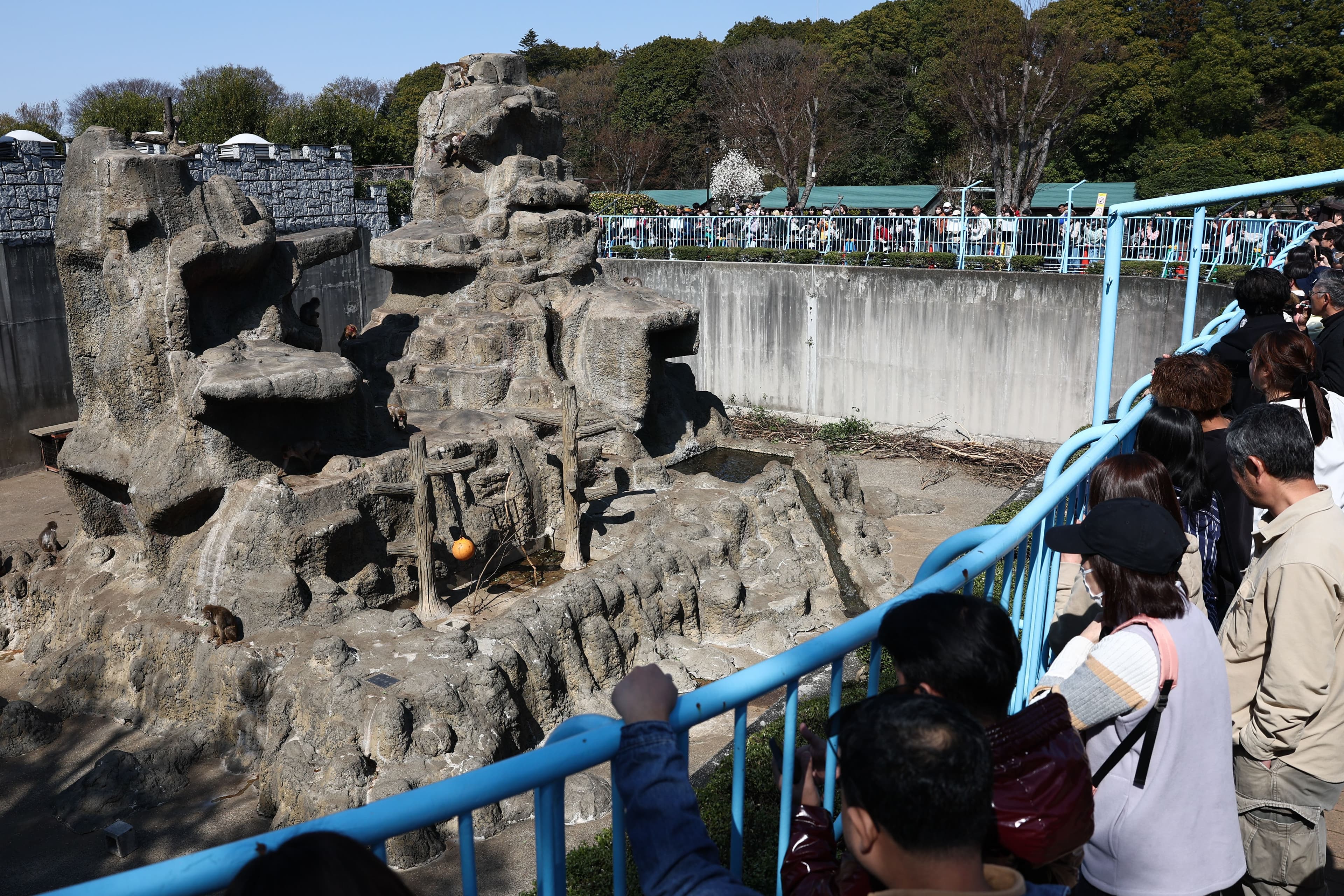 A view of the monkey enclosure at Ichikawa City Zoo in Ichikawa, Japan on March 21, 2026. (AFP)