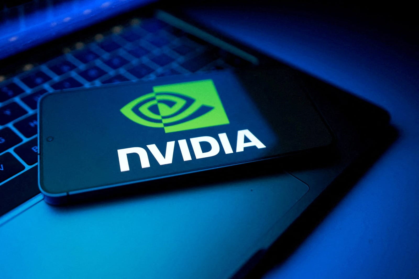 An NVIDIA logo appears in this illustration taken August 25, 2025. REUTERS/Dado Ruvic/Illustration/File Photo