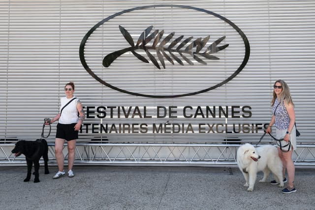 Cannes Festival signs up Meta as sponsor amid AI fears