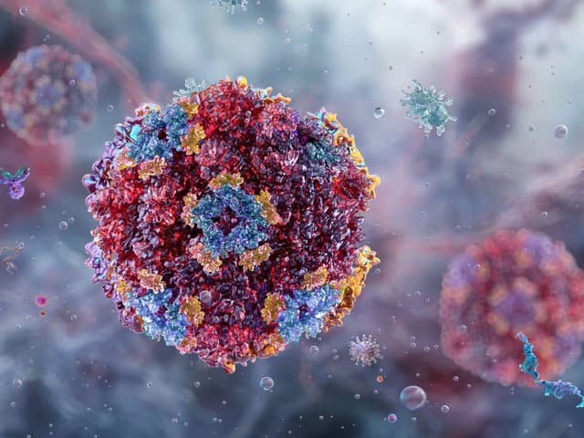 Norovirus particles, illustration. Norovirus is the most common cause of viral gastroenteritis. (AFP)