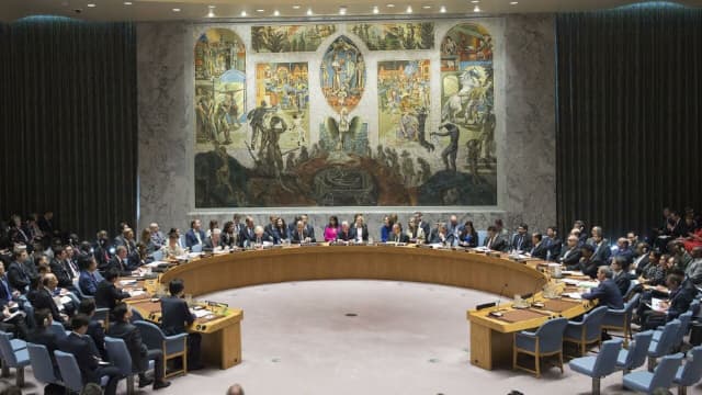 Pakistan calls for sovereign equality in UNSC reform