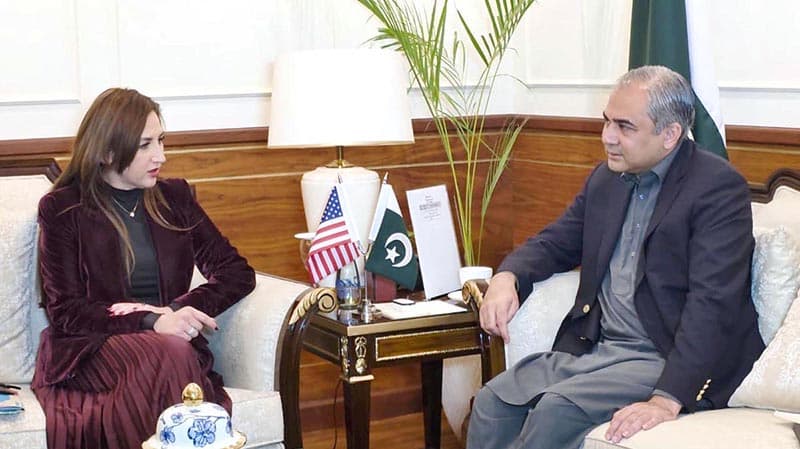 Pakistan's Interior Minister Mohsin Naqvi meets Acting US Ambassador Natalie Baker in Islamabad. (File photo: APP)