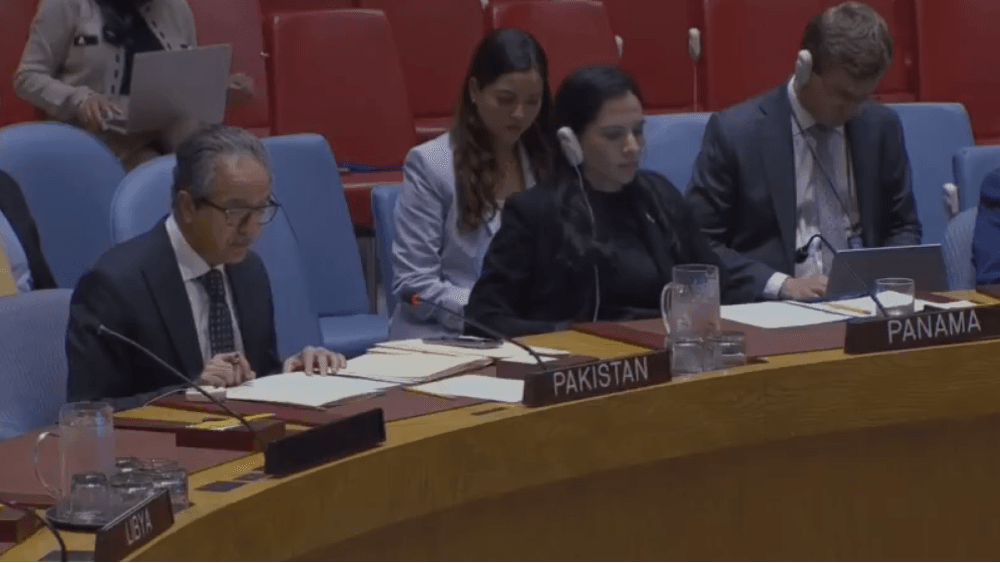 At UNSC, Pakistan reaffirms support for Libya’s sovereignty, Libyan-led political process