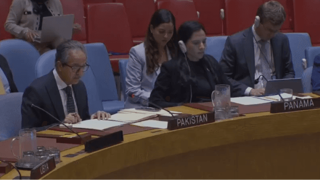 At UNSC, Pakistan reaffirms support for Libya’s sovereignty, Libyan-led political process