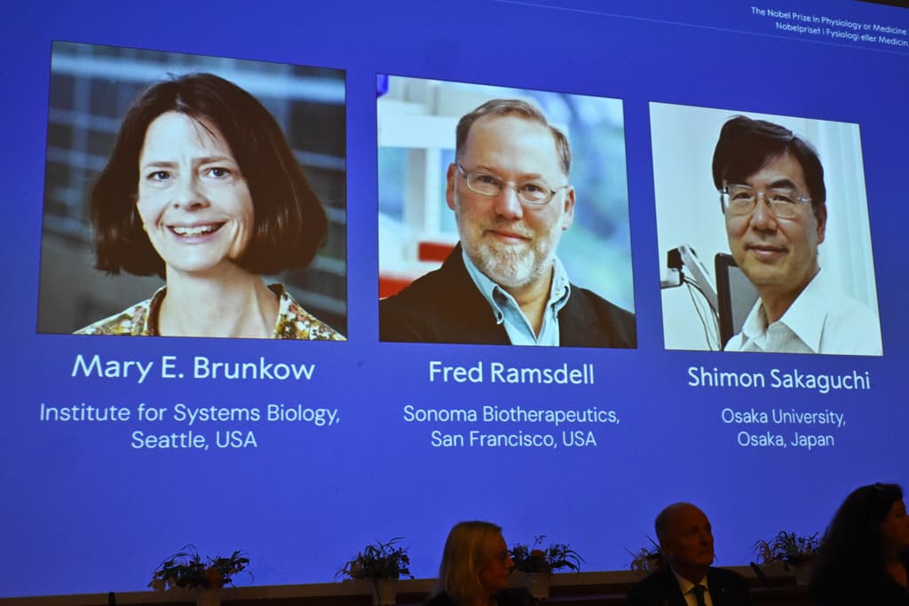 The Nobel Prize in medicine awarded to 3 scientists working on immune systems
