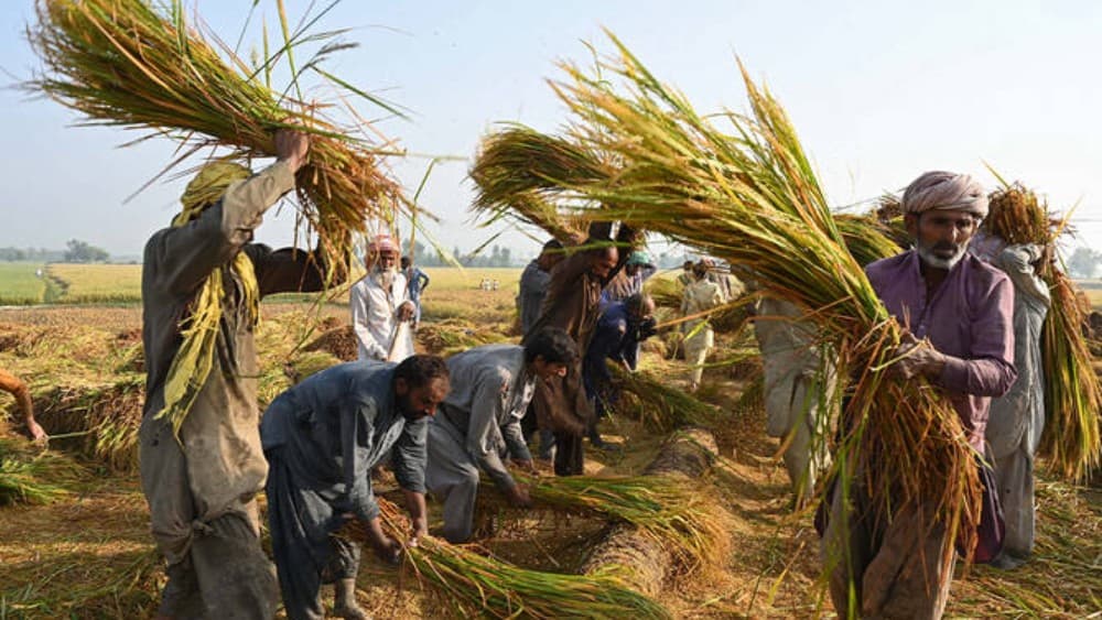 Inclusive finance targets investment, exports, growth