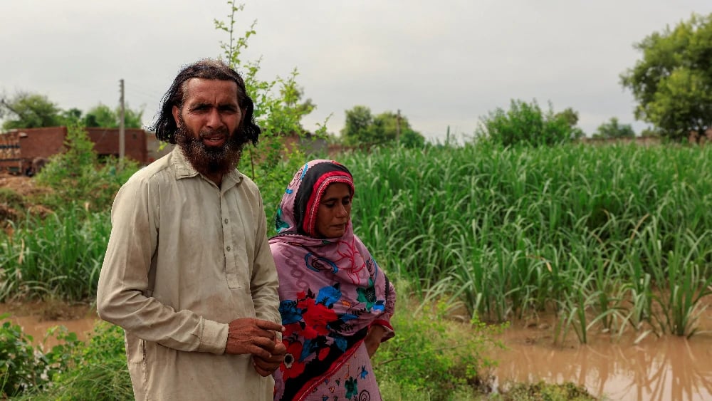 Farm land losses