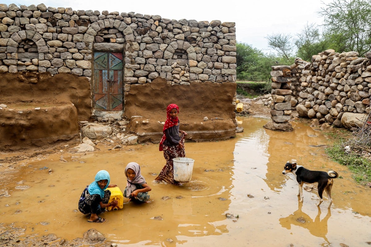 A dog looks on as children fill up a jerrycan from a water puddle left by recent heavy flooding in the Hays region south of Yemen's Hodeidah province on August 28, 2024.(AFP)