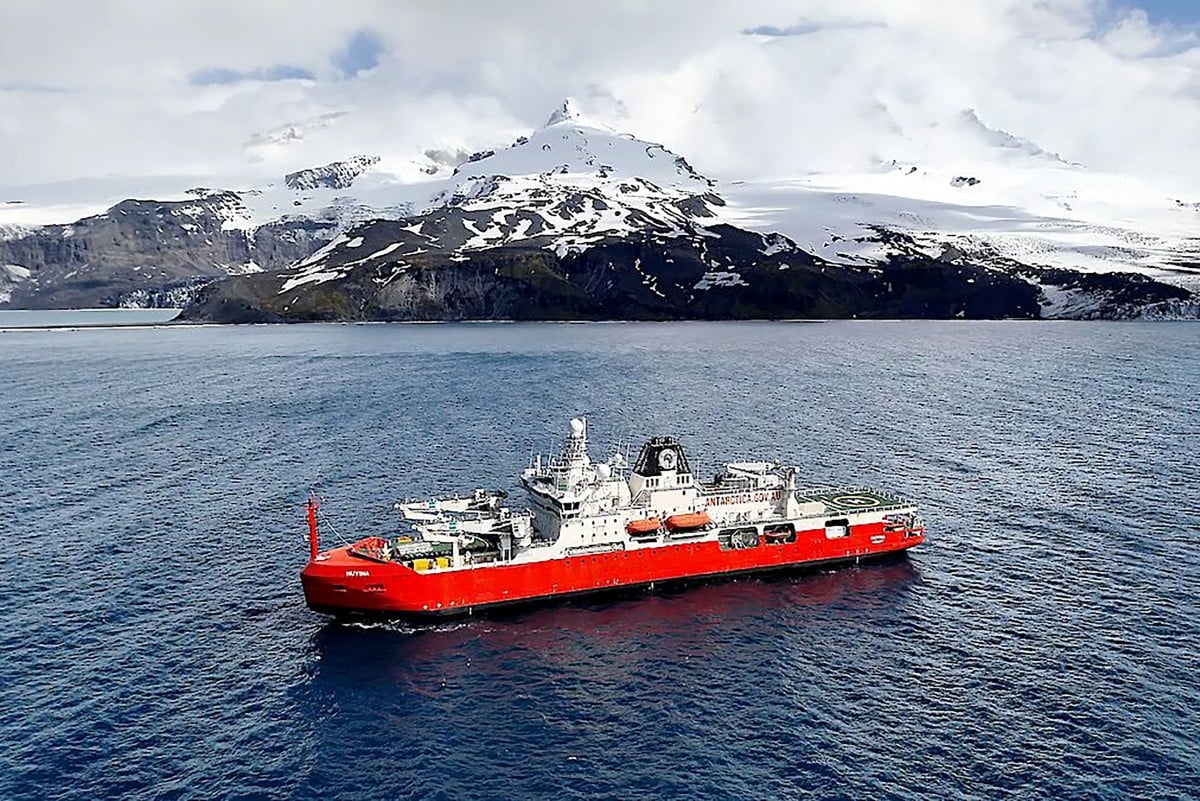 This undated handout photo released by the Australian Antarctic Division on June 18, 2026, shows the Australian icebreaker RSV Nuyina at Heard Island. A pathogenic strain of bird flu killed more than 13,000 elephant seal pups after infecting a breeding co