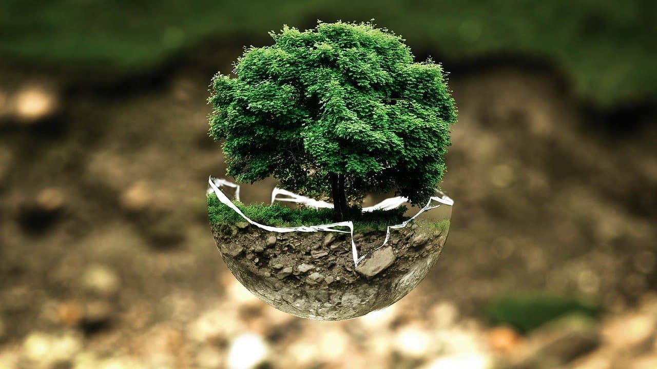 Environmental protection (File Photo: Wikimedia Commons)