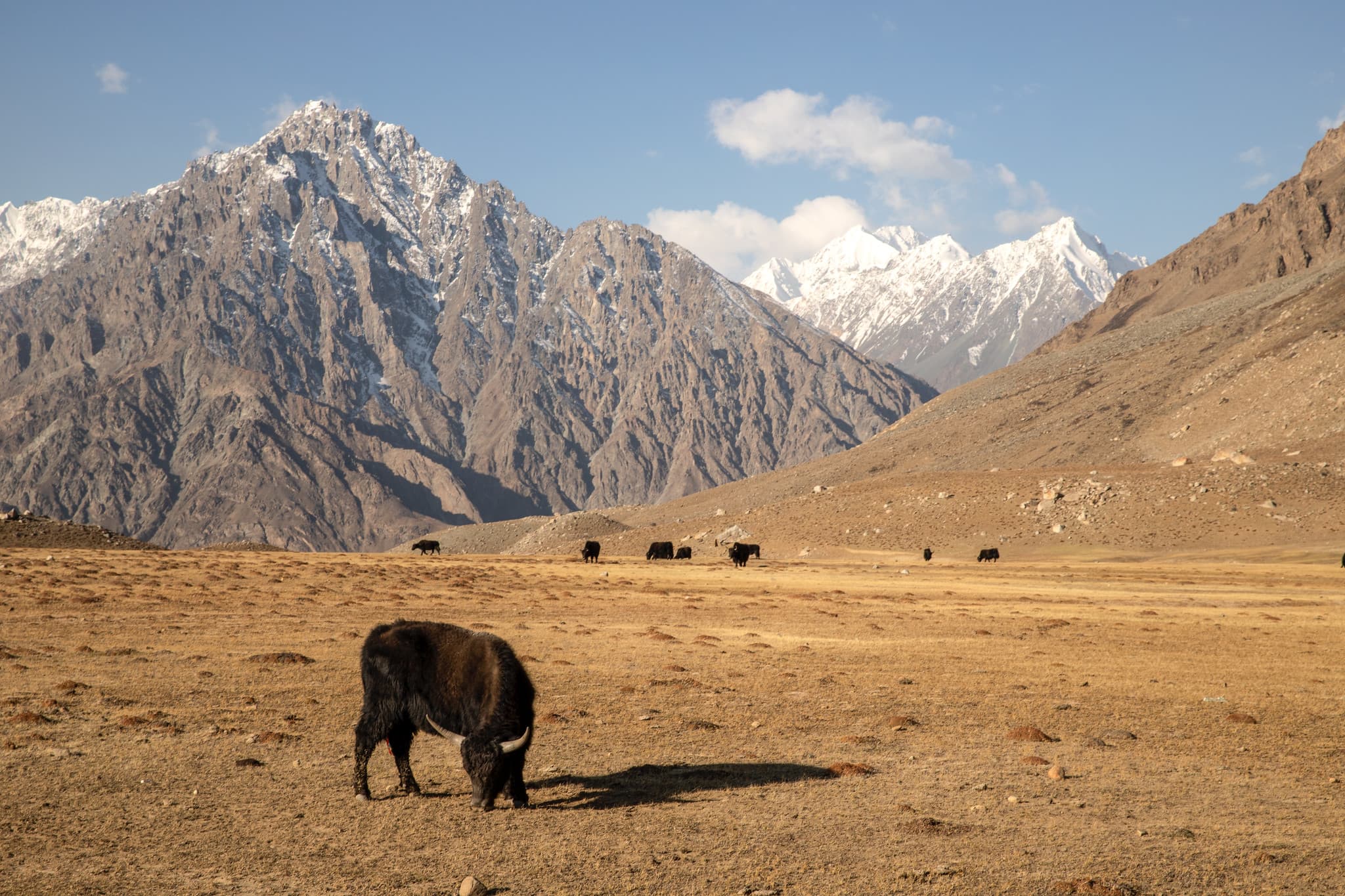 Higher temperatures to affect Pakistan's water supplies, threaten food security: climate minister