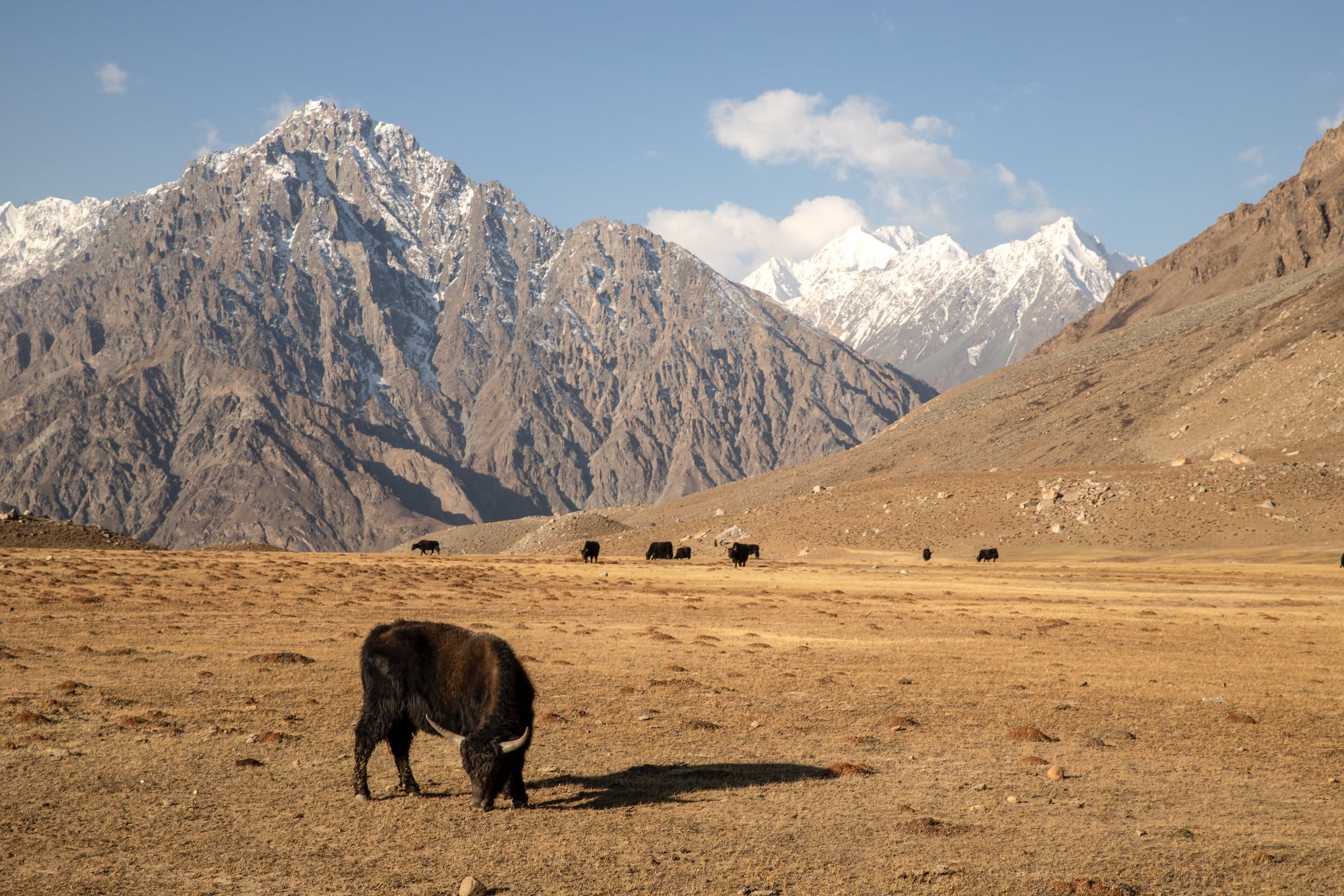 Higher temperatures to affect Pakistan's water supplies, threaten food security: climate minister
