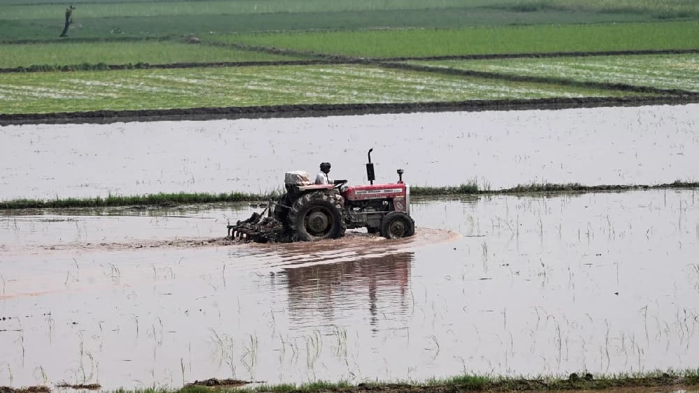 agriculture