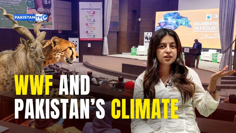 WWF urges nature-based solutions to strengthen Pakistan’s climate resilience